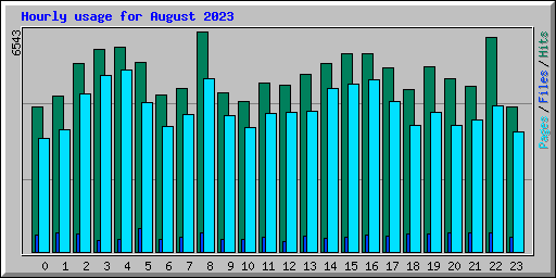 Hourly usage for August 2023
