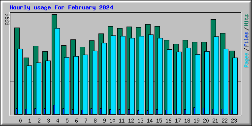 Hourly usage for February 2024