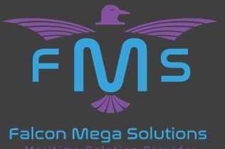 Falcon Mega Solutions (FMS)