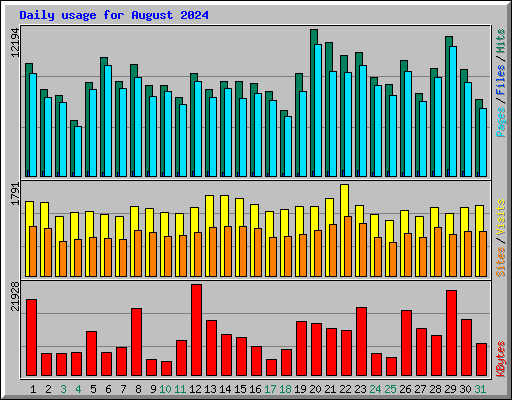 Daily usage for August 2024
