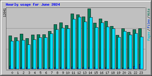 Hourly usage for June 2024