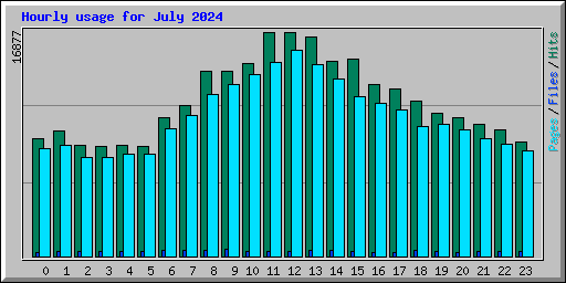 Hourly usage for July 2024