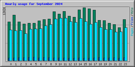Hourly usage for September 2024
