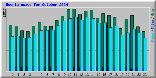 Hourly usage for October 2024