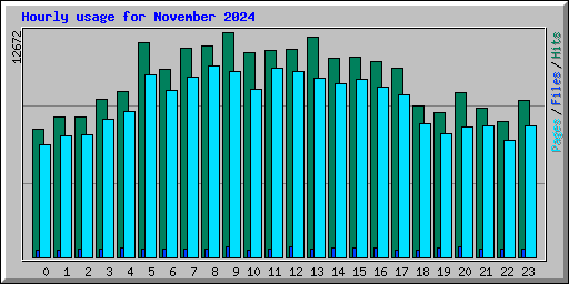 Hourly usage for November 2024