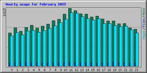 Hourly usage for February 2025