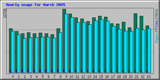 Hourly usage for March 2025